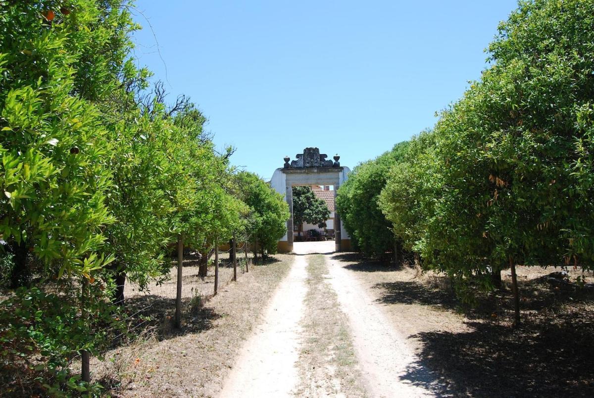 Willa Quinta Do Casalinho - Benfica Do Ribatejo Zewnętrze zdjęcie