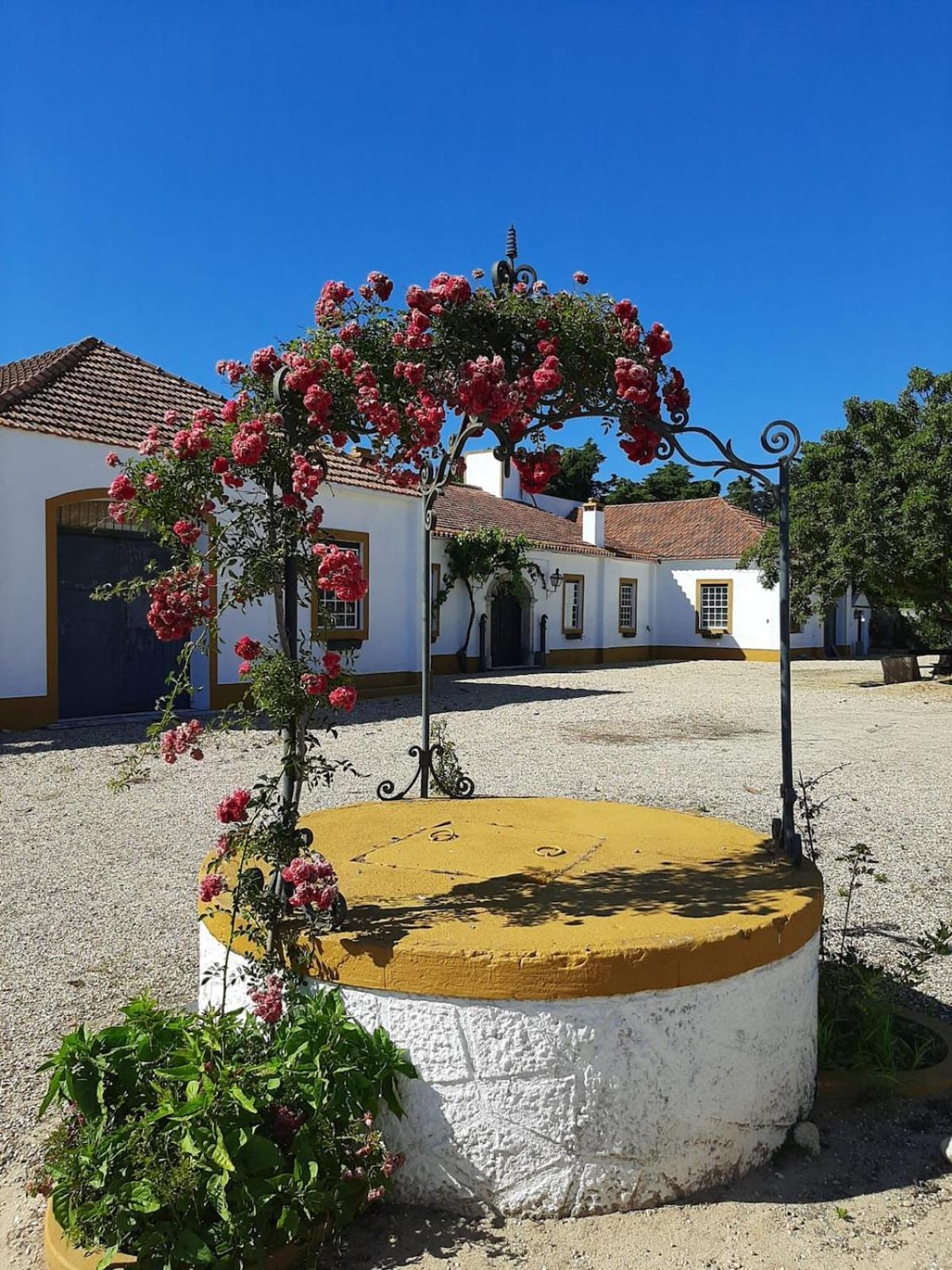 Willa Quinta Do Casalinho - Benfica Do Ribatejo Zewnętrze zdjęcie